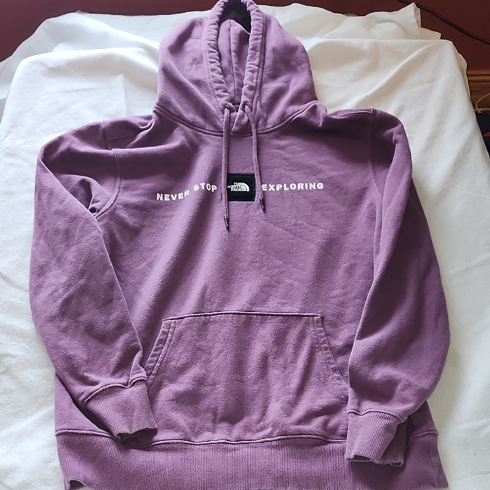The North Face Purple Never Stop Exploring Hoodie